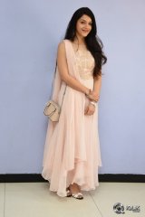 Mehreen at Krishna Gadi Veera Prema Gaadha Movie Thanks Meet